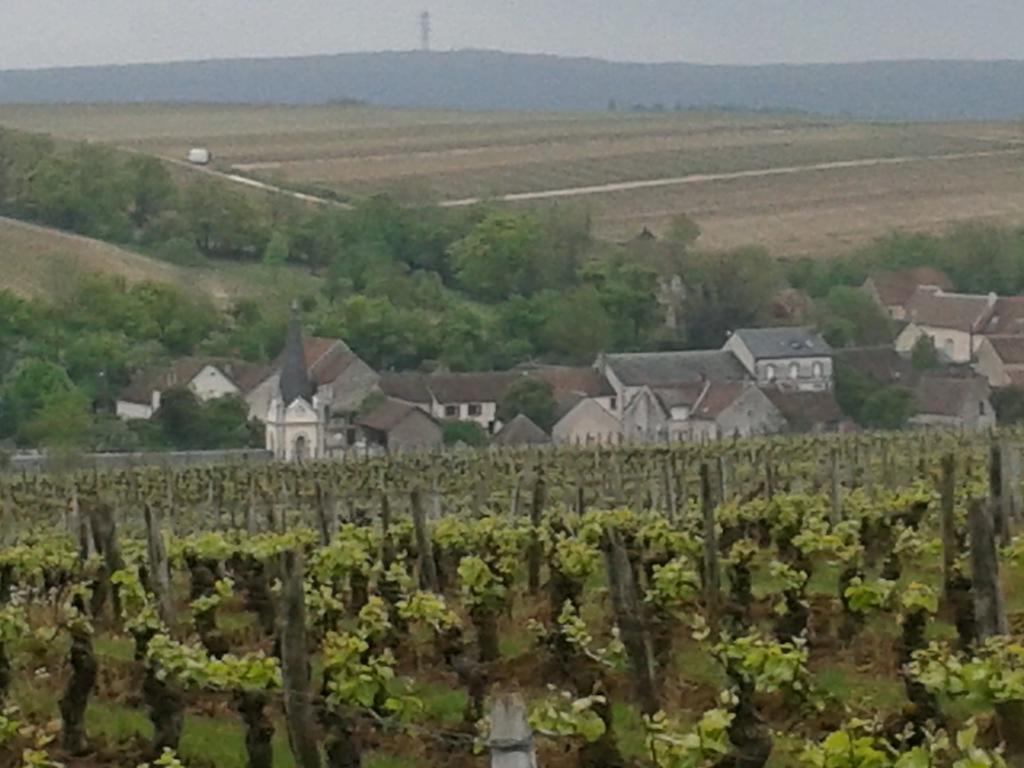 Le Clos Saint Martin Sancerre Exterior foto