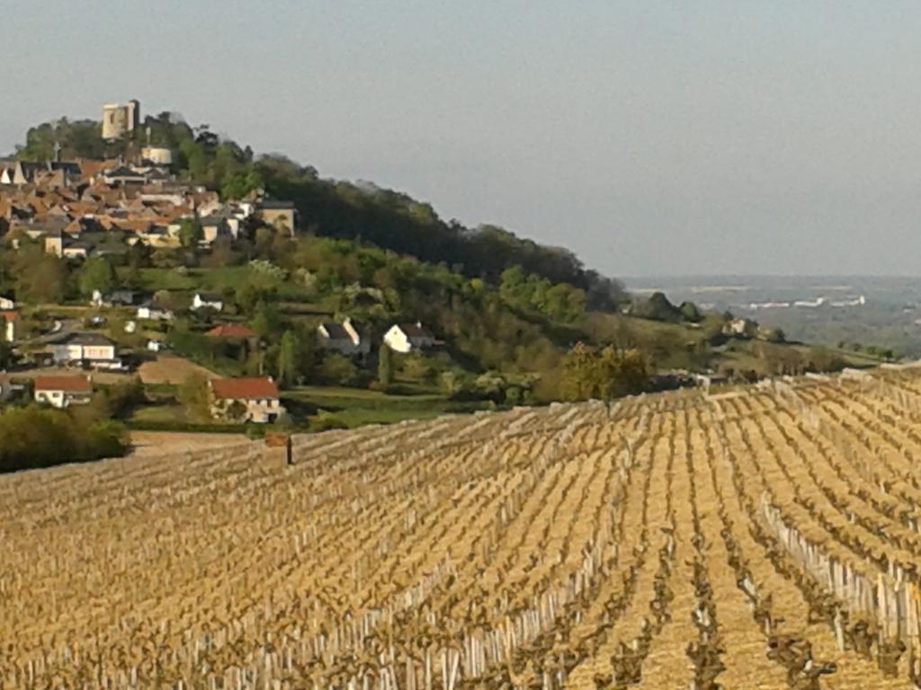 Le Clos Saint Martin Sancerre Exterior foto